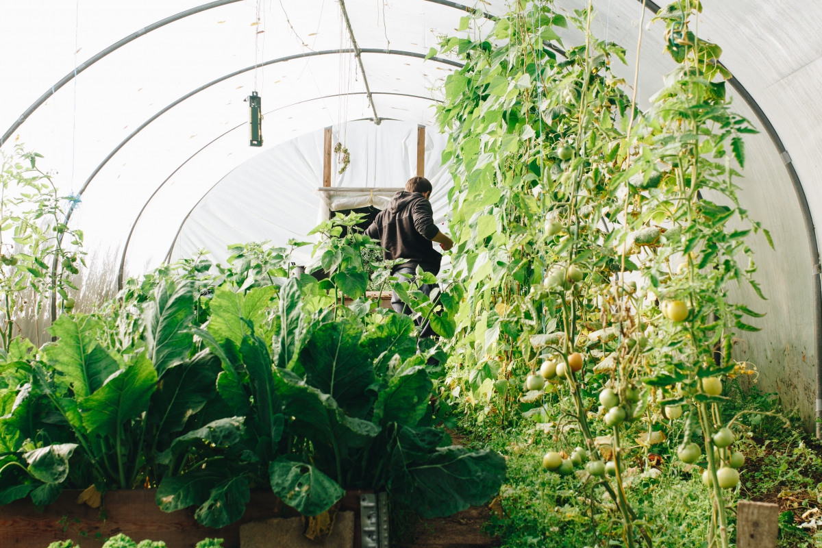 04-12-17 GenX-vervuiling treft vele tientallen tuinders en gezinnen