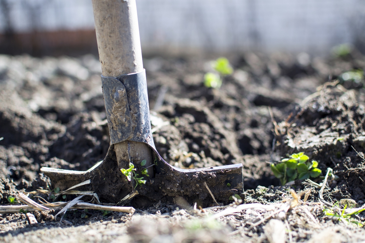 31-08-17 Onderzoek naar chemische stoffen in moestuinen